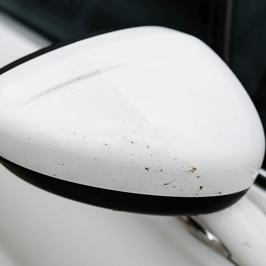 Υγρό καθαρισμού λεκέδων εντόμων K2 Nuta Anti Insect 1Lt