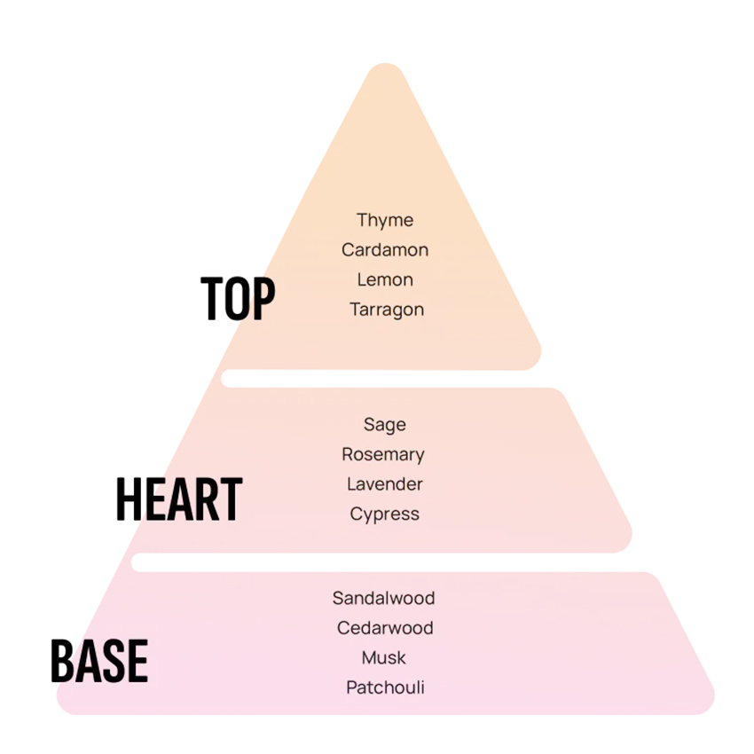 Αρωματικό Areon KEN New Car