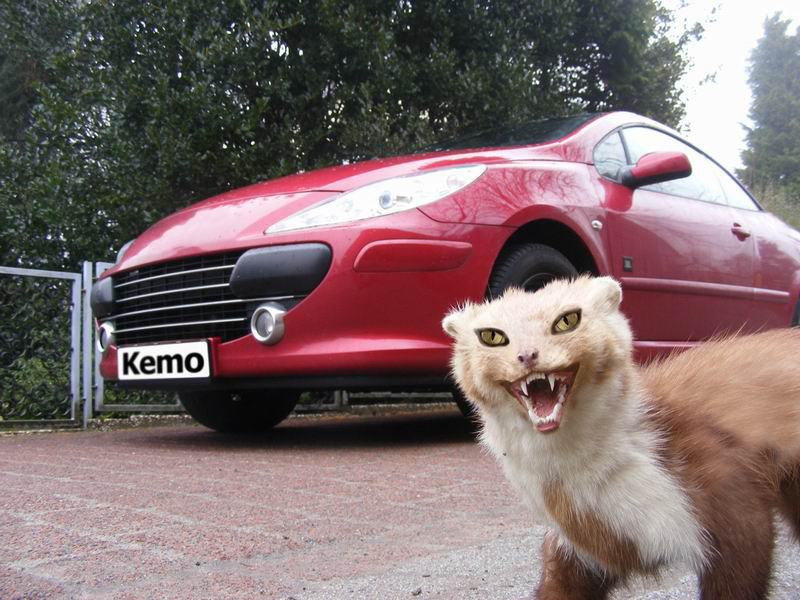 Απωθητικό τρωκτικών 12V Kemo